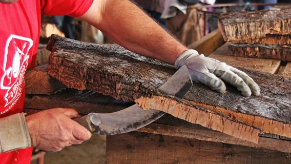 Besichtigung der Korkfabrik