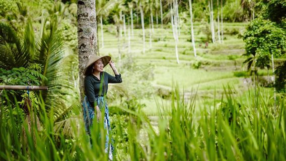 Bali: Full-Day Ubud Highlight & Tanah Lot Temple Sunset Tour