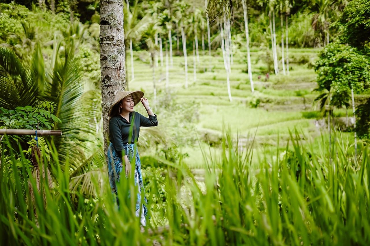 Bali: Full-Day Ubud Highlight & Tanah Lot Temple Sunset Tour