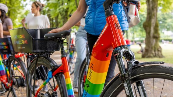 Zúrich: recorrido por la ciudad en bicicleta eléctrica