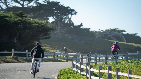 Monterey and 17 Mile Drive: Half-Day Electric Bike Rental