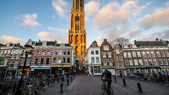 Utrecht: Dom Tower Entry Ticket and Guided Tour