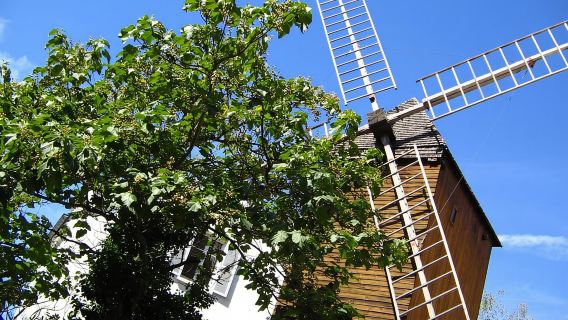 Paris : visite guidée privée à pied de Montmartre