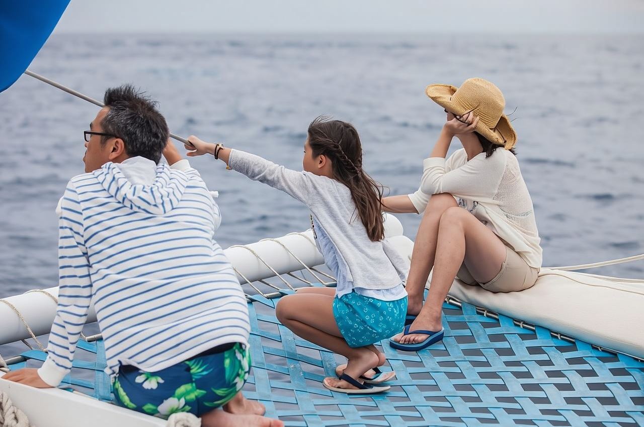 Los Cabos: Catamaran Whale Watching Cruise