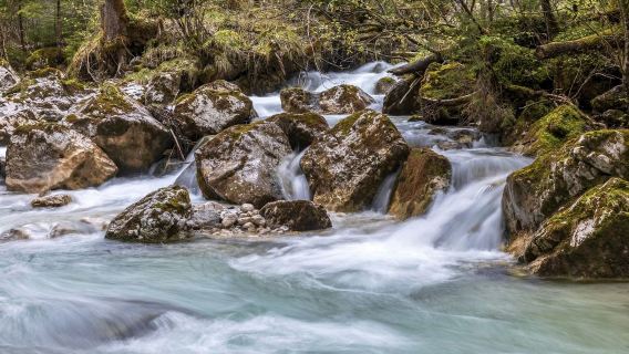 德國慕尼黑來回探秘格林筆下｜魔法森林&國王湖&拉姆紹中文包車