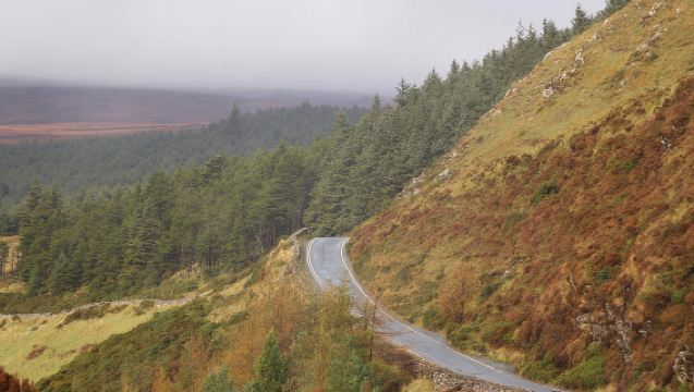 From Dublin: Wild Wicklow Mountains and Glendalough Tour