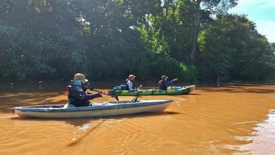 Mangrove Kayak - near Sámara & Carrillo Beach