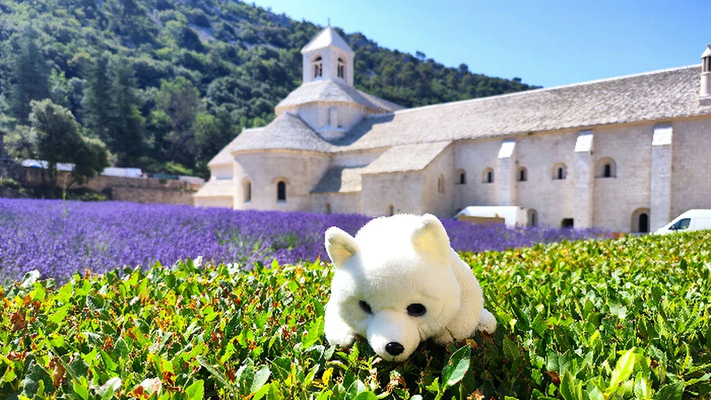 法國普羅旺斯索村一日遊飯店接駁8人小團塞南克修道院石頭城