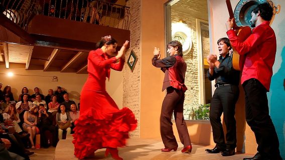 Flamenco Show at Casa de la Memoria Admission Ticket