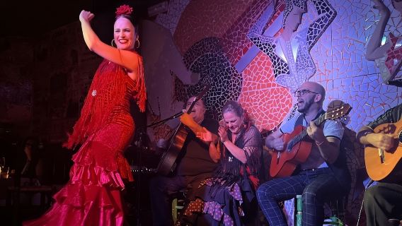El Toro y la Luna Tablao Flamenco Show with Dinner and Drink