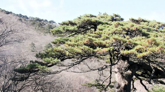 Yi CountyTours
