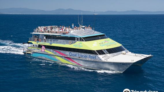 Tur Sehari Kucing Besar Cairns di Green Island, Great Barrier Reef - Pelayaran Singkat, 5 Jam Kesenangan di Green Island
