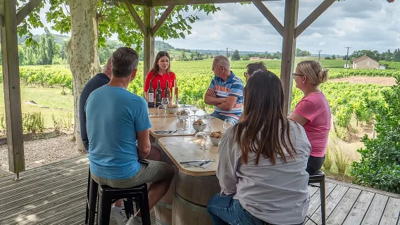 tour trong ngày Saint-Émilion: thăm làng, Châteaux và ăn trưa