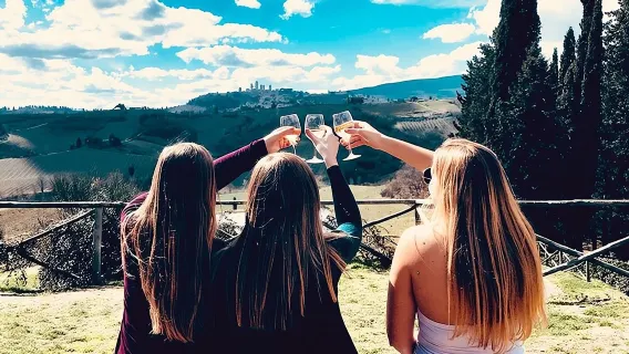 Chianti Wineries Tour with Tuscan Lunch and San Gimignano
