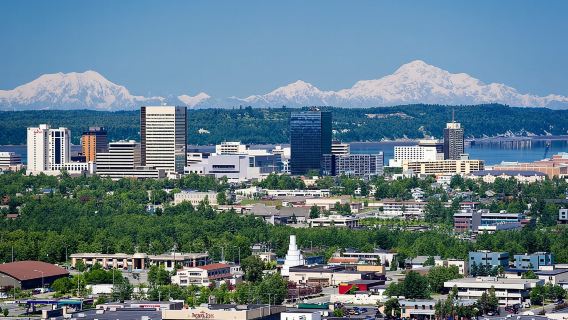 Anchorage City Tour w/ Taste of Wild Smoked Salmon & Reindeer Sausage
