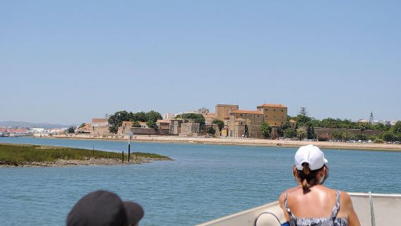 Short boat trip of the Algarve's Ria Formosa lagoon from Faro: 1 hour