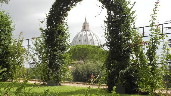 Vatican Pass with St. Peter's Basilica and Dome, Vatican Museums and Sistine Chapel