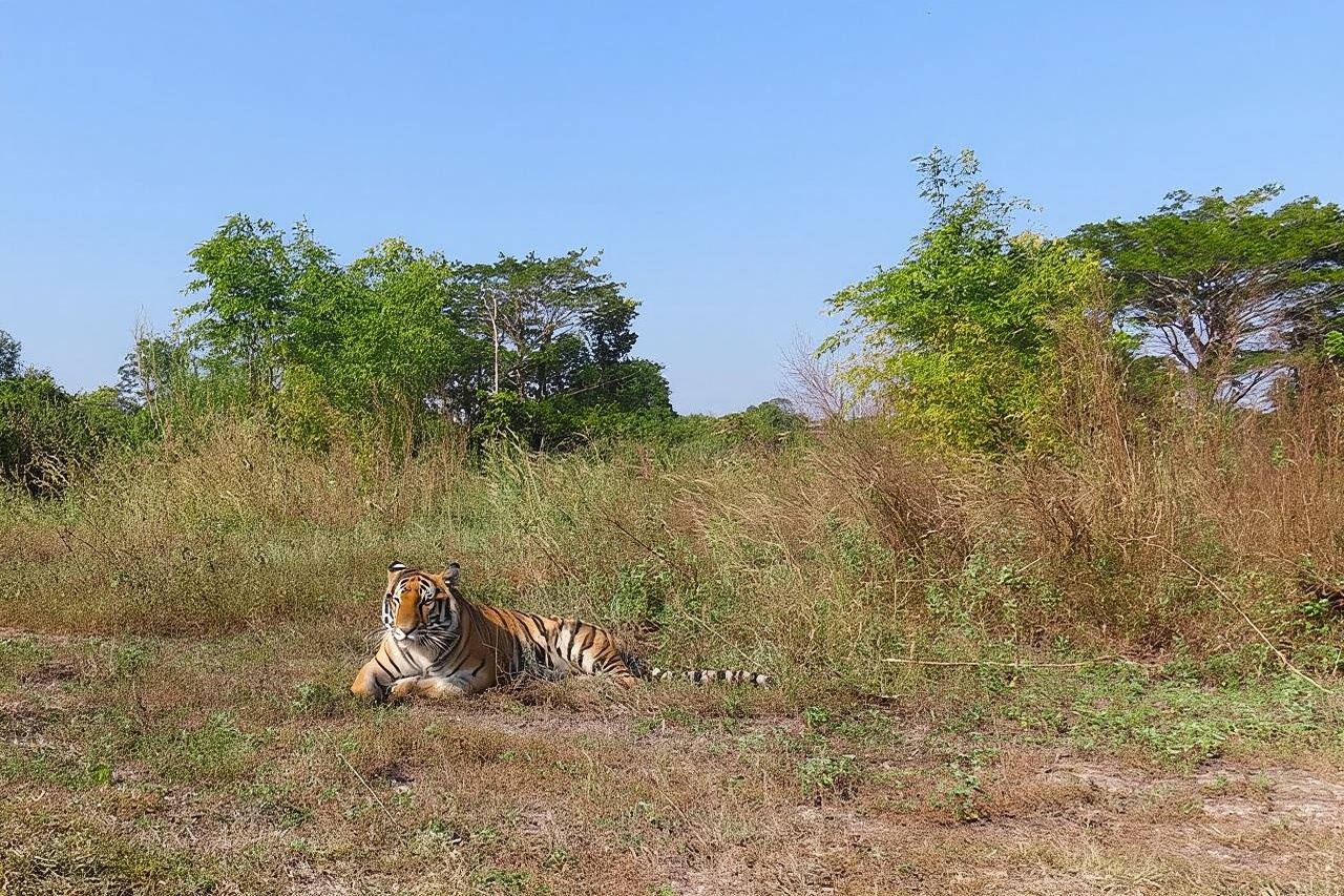 Recorrido por el Centro de Rescate de Vida Silvestre