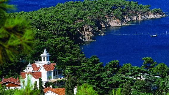 Экскурсия на целый день по острову Принцессы с обедом, трансфером и поездкой на лодке по Стамбулу