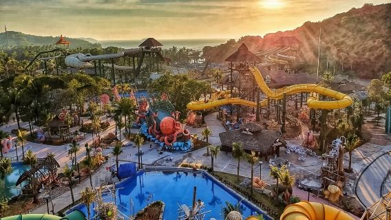 กระเช้าลอยฟ้าและทริป 4 เกาะด้วยเรือสปีดโบต - เกาะทม - เกาะซวง - เกาะกามกิ - เกาะไม้รูดตรง