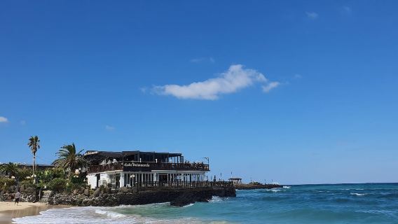 Itinerary perjalanan satu hari Lokal Jeju Selatan & Barat Dapat Disesuaikan untuk Berangkat dari Kota Seogwipo