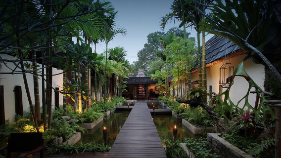 ฟ้าล้านนา สปา (สาขาเมืองเก่า) นวดแผนไทย เชียงใหม่