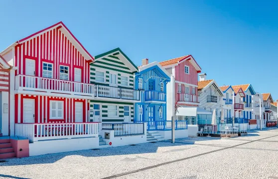 波爾圖出發阿威羅及科斯塔新灘半日遊連乘船體驗