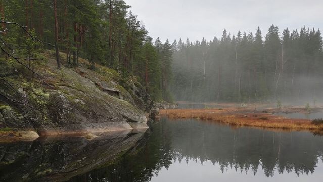 Half-Day Nature Adventure to Nuuksio National Park from Helsinki