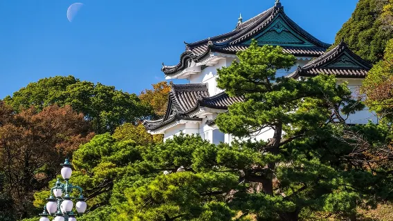 Tour tham quan Vườn phía Đông Hoàng cung Tokyo với hướng dẫn viên riêng - Khám phá lịch sử hoàng gia Nhật Bản và vẻ đẹp thiên nhiên