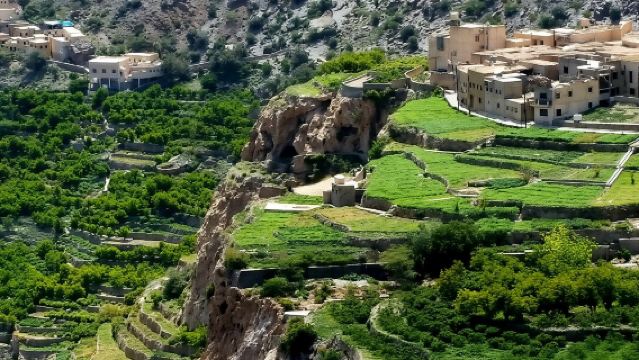 終日プライベートツアー ニズワ/ジェベル・アクダル