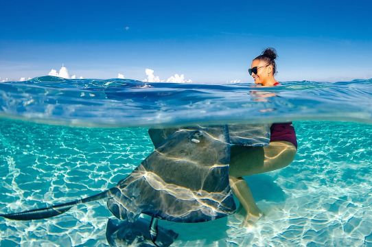 4 小時私人包船前往 Stingray City，浮潛與更多體驗