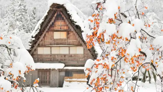 日本大阪四天王寺+通天閣+天王寺動物園一日遊