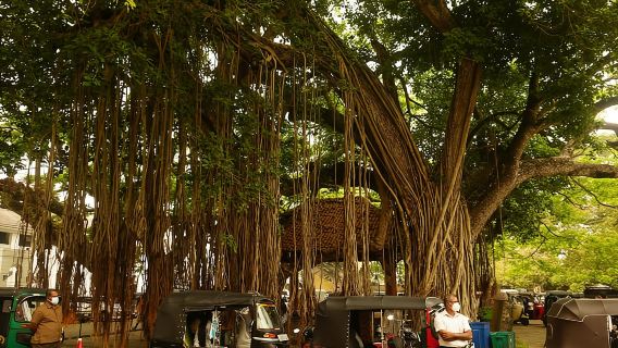 Galle: Fort Walking Tour bersama Jurupandu Tempatan + Makan Tengahari