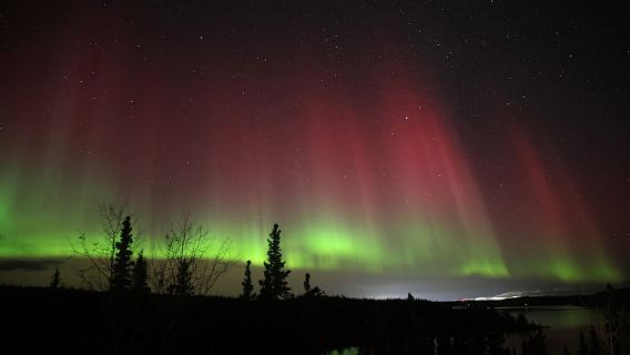 Lago Madeline: Aurora Lodge y tour de observación de auroras
