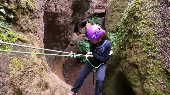 Tenerife: Guided Canyoning Experience in Los Arcos