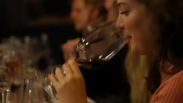 8-Tier Hungarian Wine Tasting in a Cozy Downtown Wine Bar