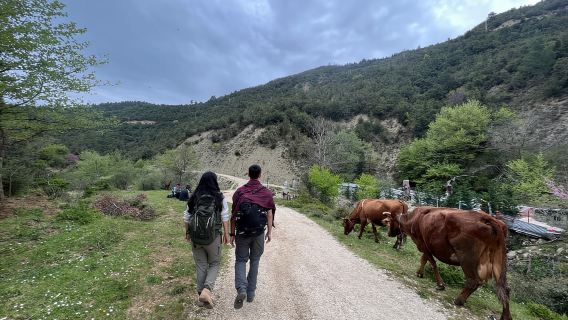 Desde Berat: Cañón Osumi, cascada Bogova y Pirro Goshi…