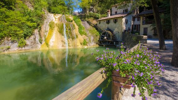 Da Venezia: tour di un giorno intero del Prosecco con degustazione di vini e pranzo