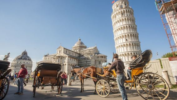 Pisa: tour de medio día por la tarde desde Florencia