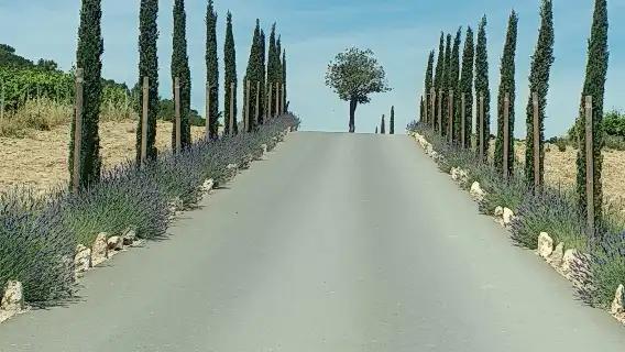 5-Hour Private Sightseeing Tour of the Provence from Marseille in Luxury Car