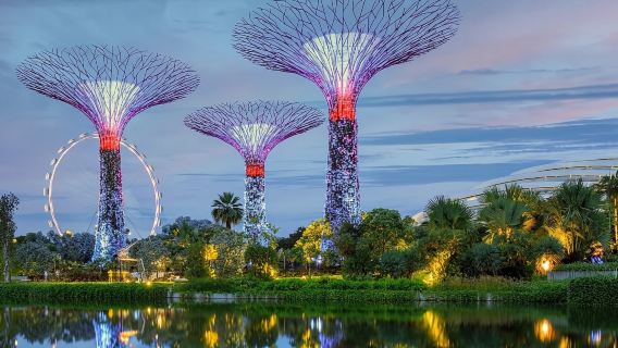 Singapore Merlion Park + ArtScience Museum + Gardens by the Bay Day Tour