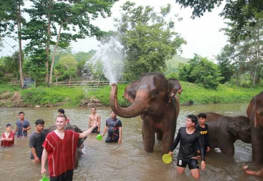 Chiang Mai Kerchor Elephant Eco Park Day Tour - Elephant Sanctuary and Bamboo Rafting