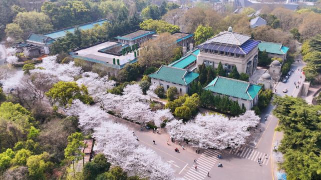 湖北武漢大學（珞珈山區）半日參觀【百年高校 深度探訪】