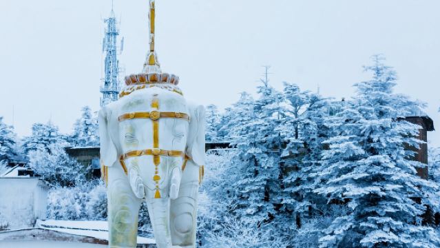 Excursión privada imprescindible de Chengdu al monte Emei: encuentra paz interior entre un esplendor escénico