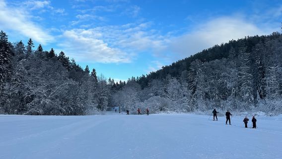 Oslo: The Norwegian Skiing Experience