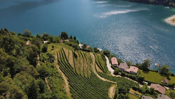 Lake Ledro: wine Pic Nic with stunning Lake View