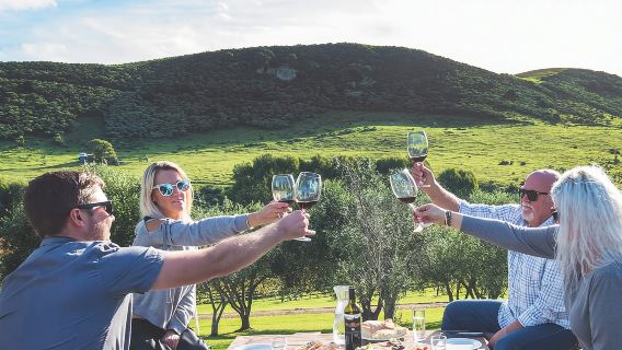 Tour enogastronomico dell'isola di Waiheke, Auckland, Nuova Zelanda 61910