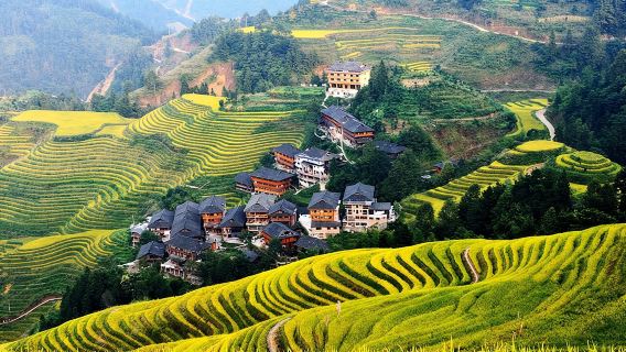 Private Day Tour to Longji Rice Terraces and Long Hair Village from Guilin