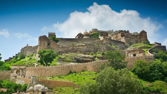 Tour privato di un giorno al forte di Kumbhalgarh e al santuario della fauna selvatica da Udaipur