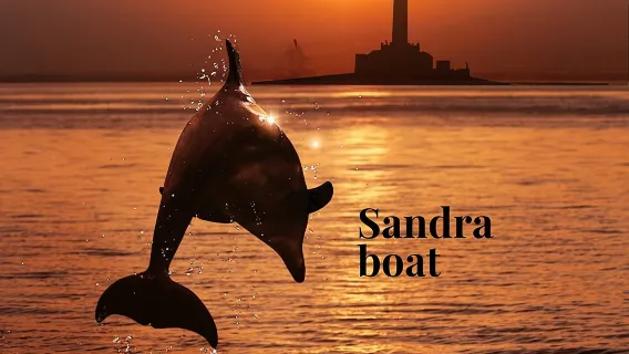 Excursion de 3 heures tout compris au coucher du soleil et à l'observation des dauphins au départ de Medulin sur l'île Sandra